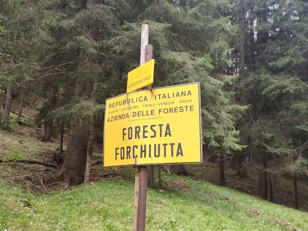 Cartello foresta forchiutta