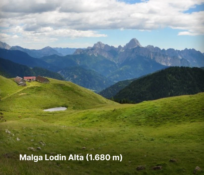 malga lodin di paularo