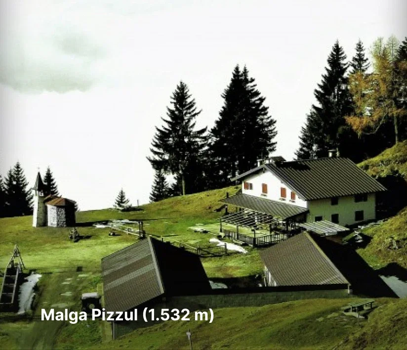 malga pizzul di paularo