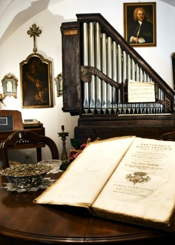 Mozartina, mostra dell'ecomuseo di paularo
